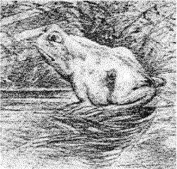 image006.gif image006.gif